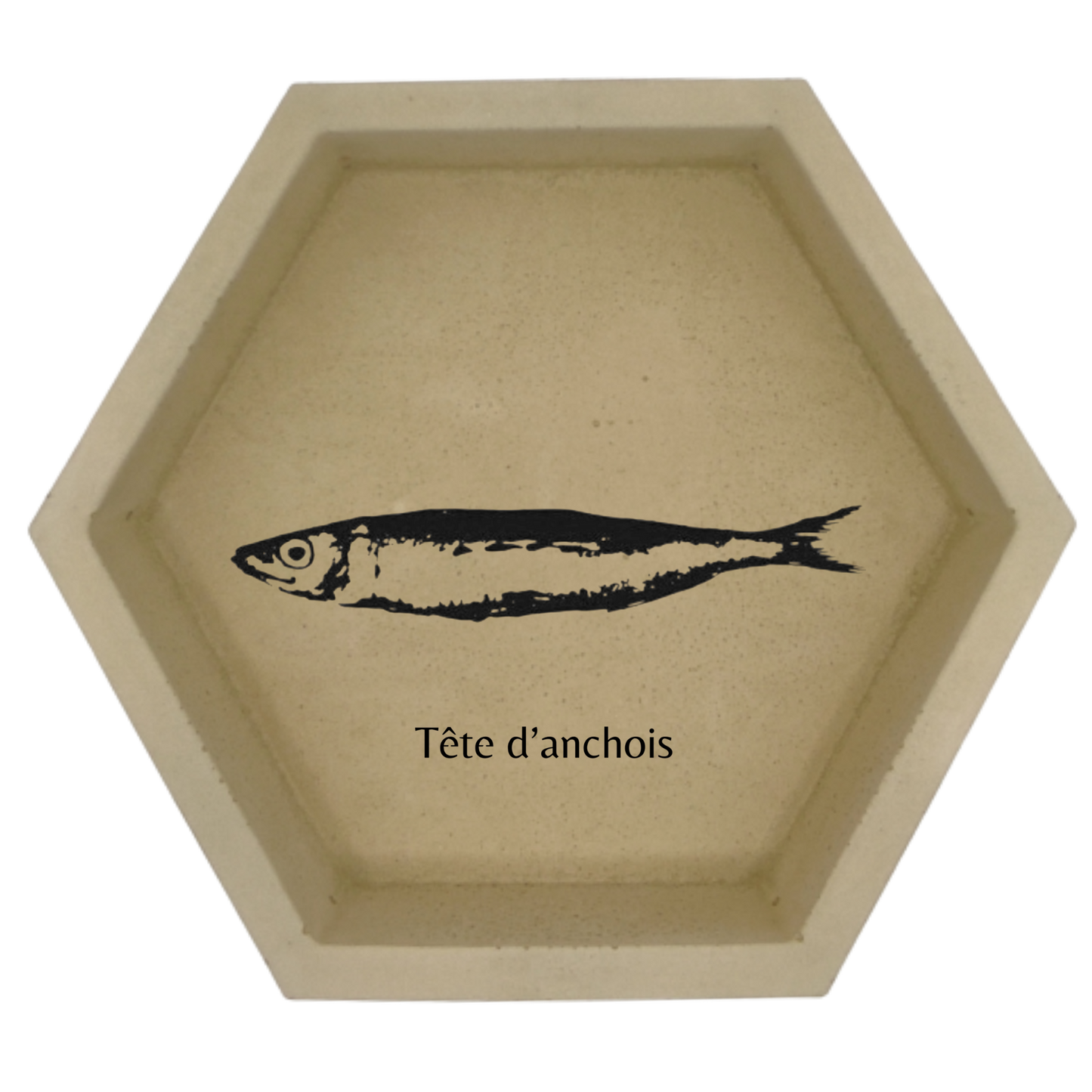 Tête d'anchois