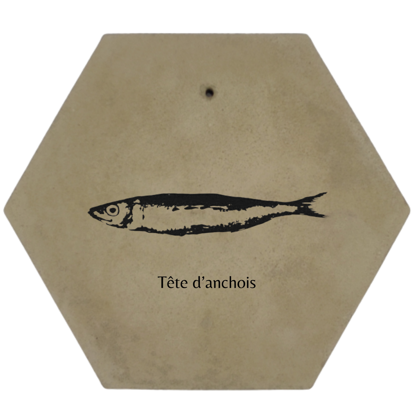 Tête d'Anchois