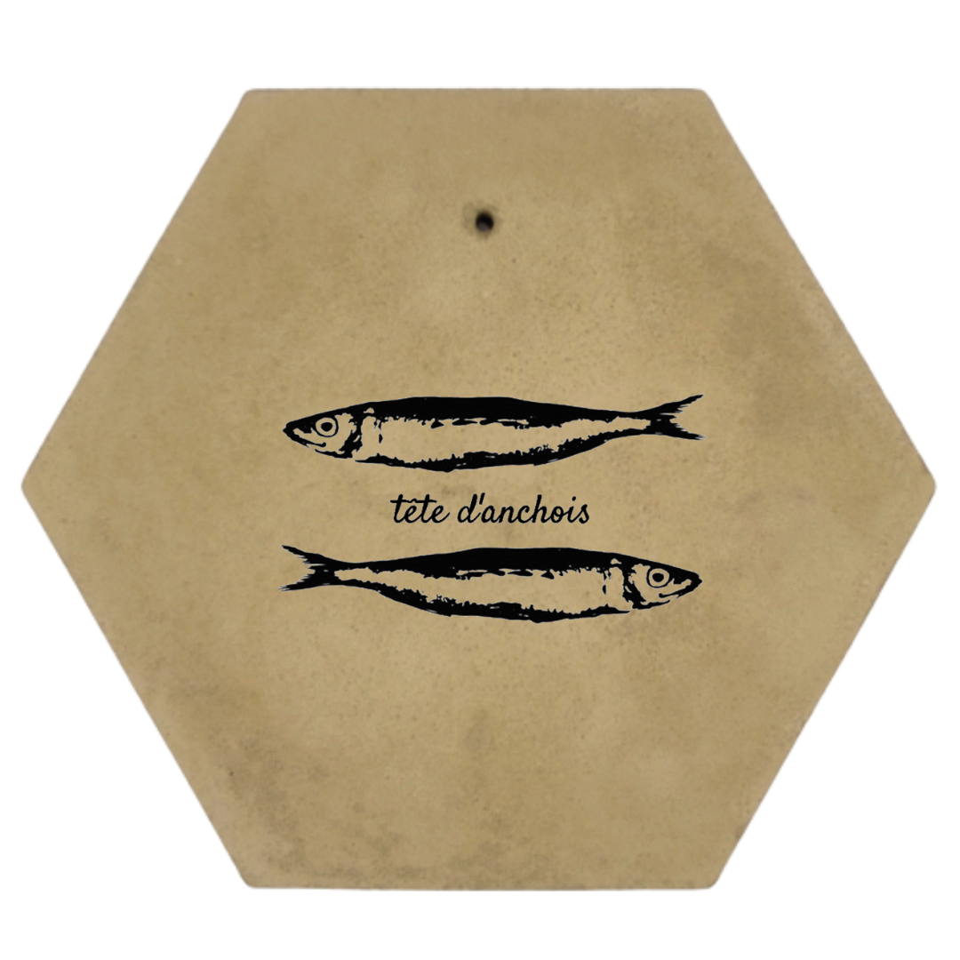 Tête d'anchois