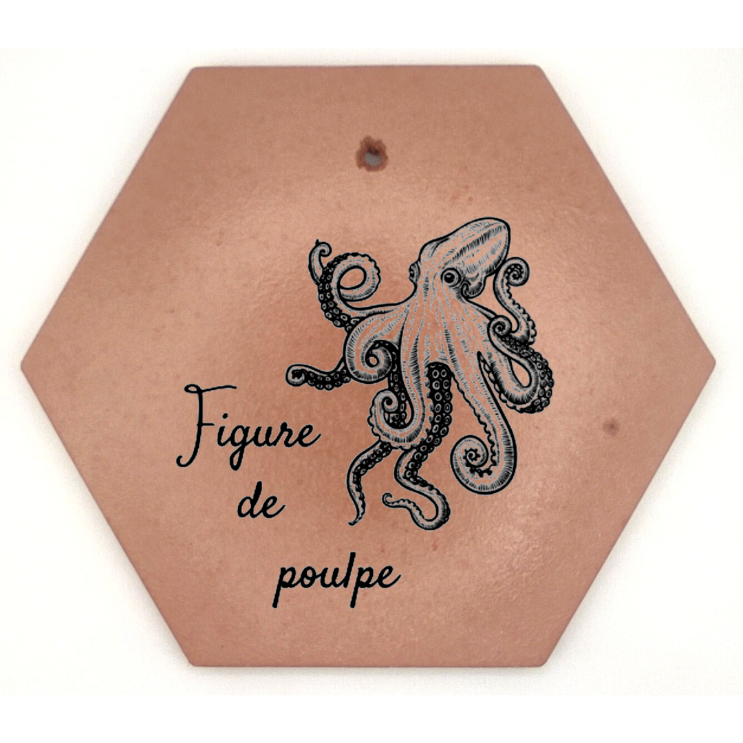 Figure de Poulpe