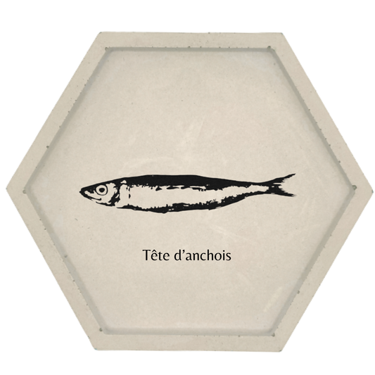 Tête d'anchois