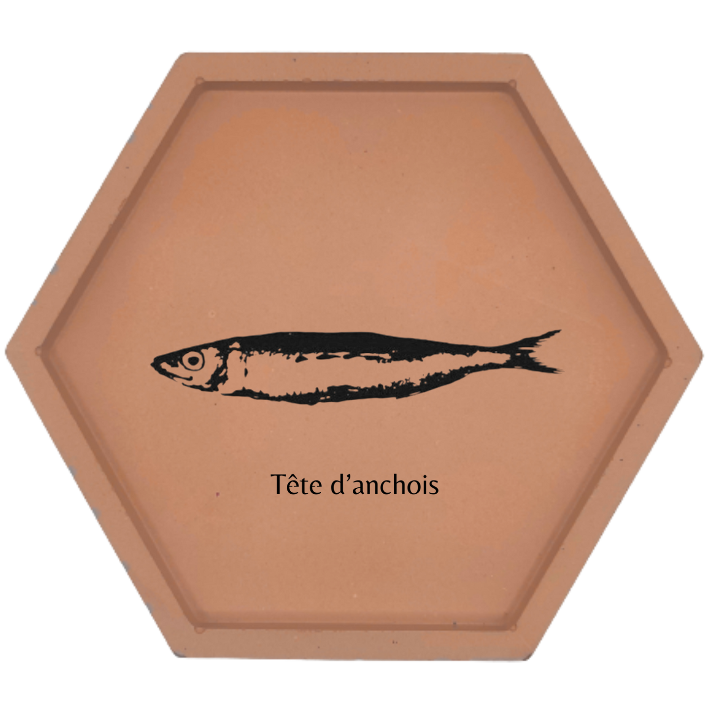 Tête d'anchois