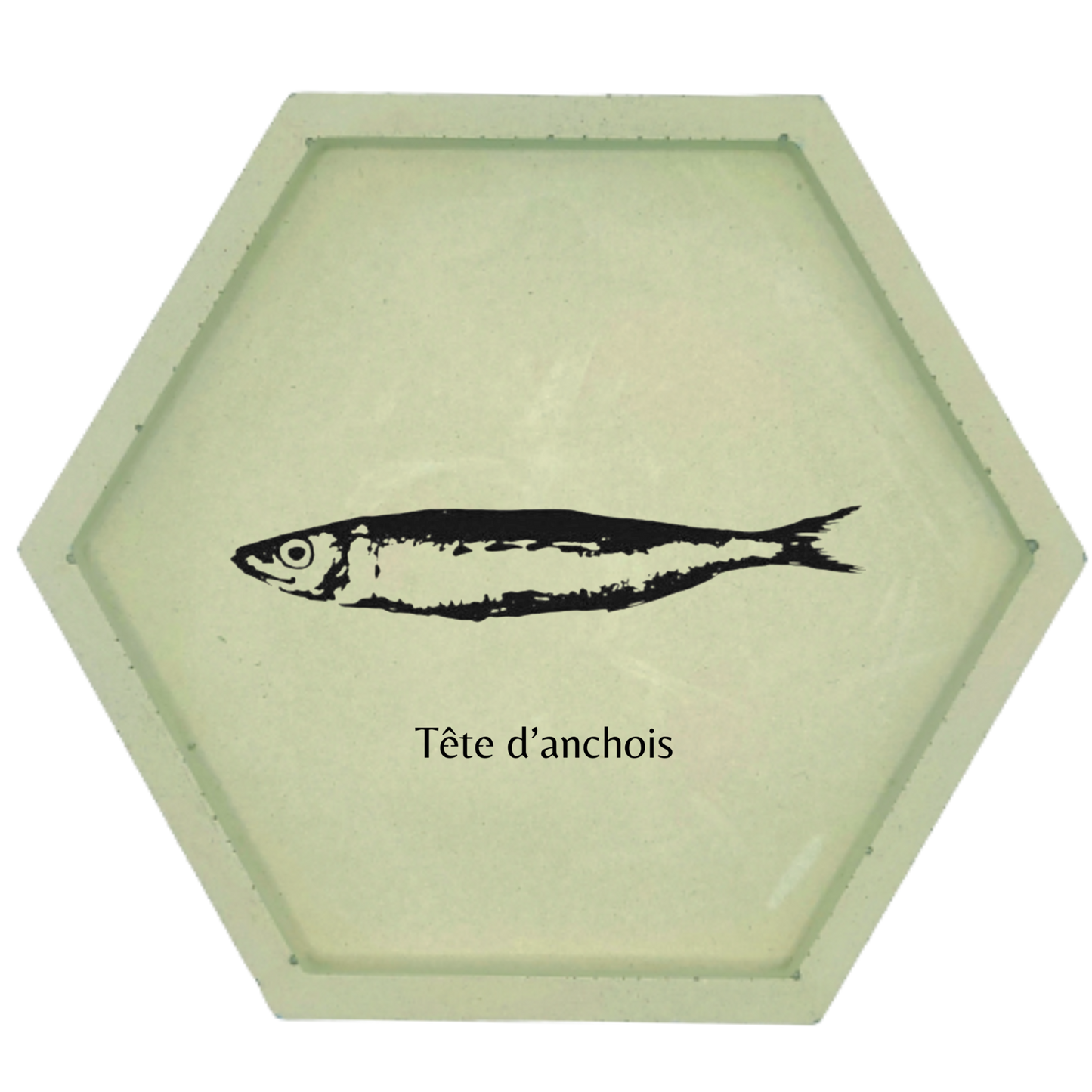 Tête d'anchois