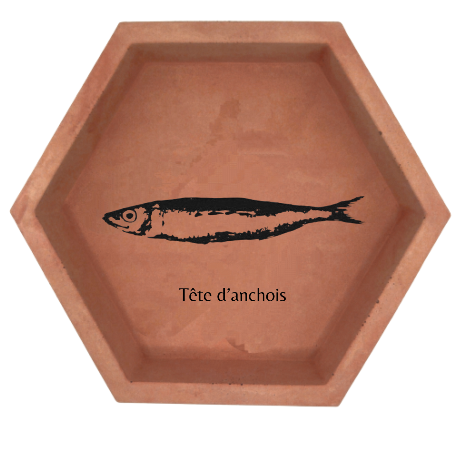 Tête d'anchois