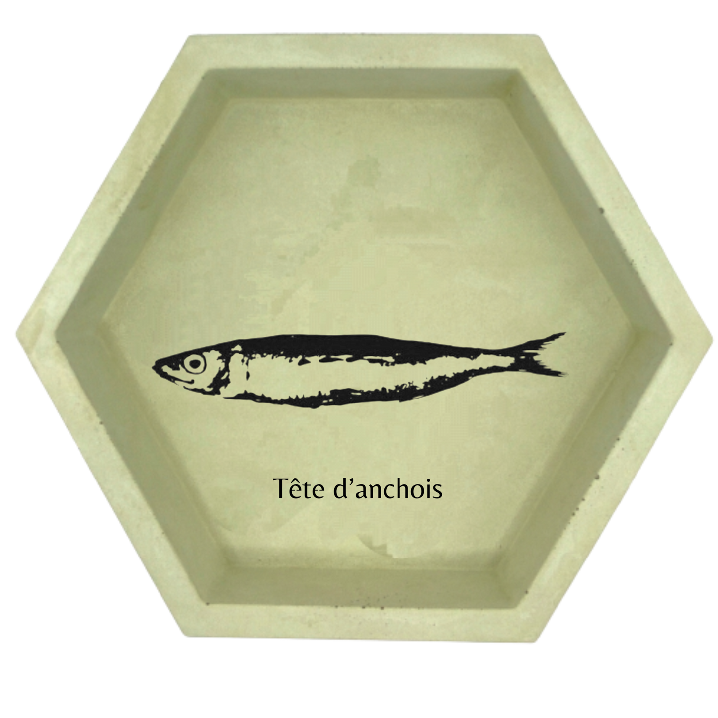 Tête d'anchois