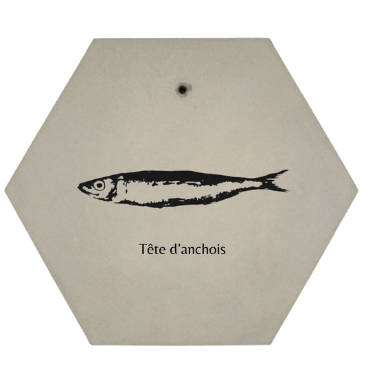 Tête d'Anchois