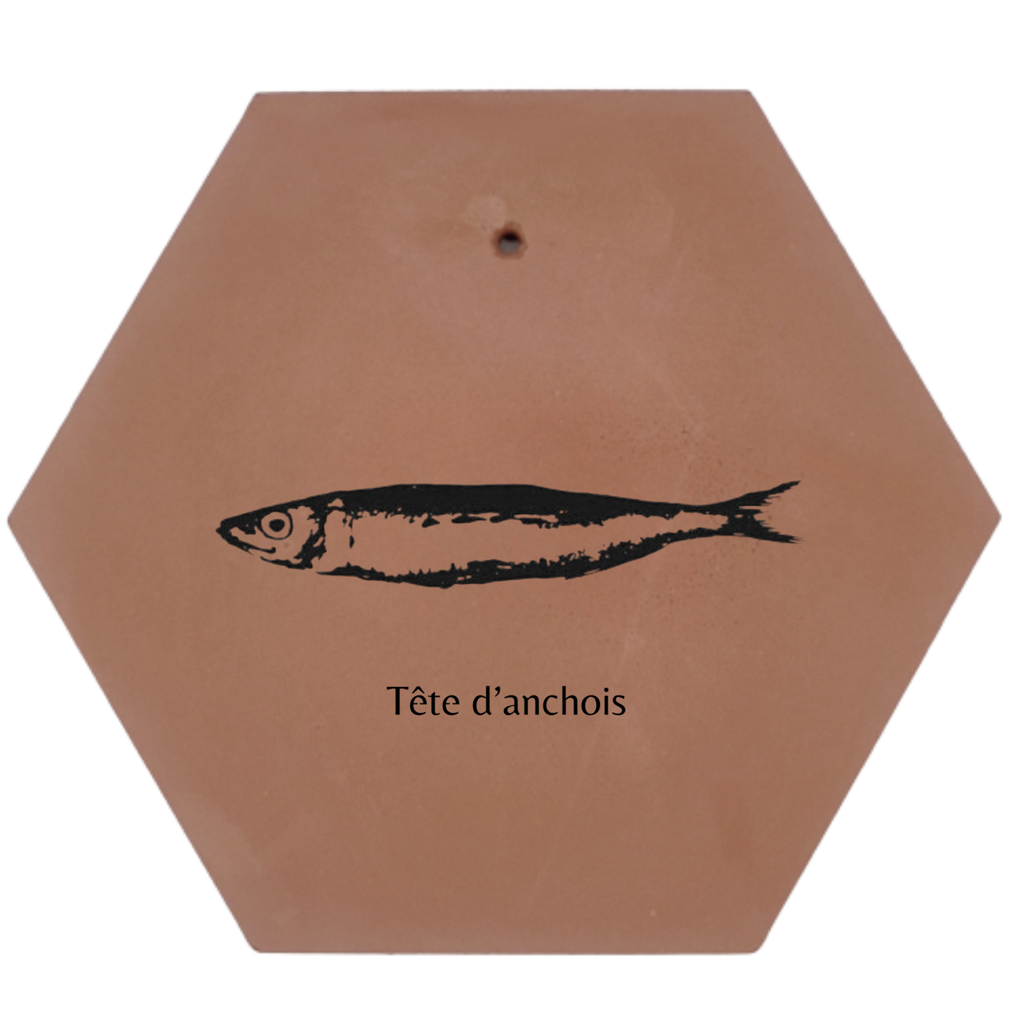 Tête d'Anchois